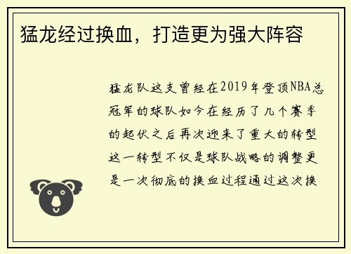 猛龙经过换血，打造更为强大阵容